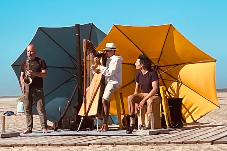 saxyarpa a.m Travemünder Strand Im Hintergrund bunte Sonnenschirme die den stürmischen Wind abhalten.