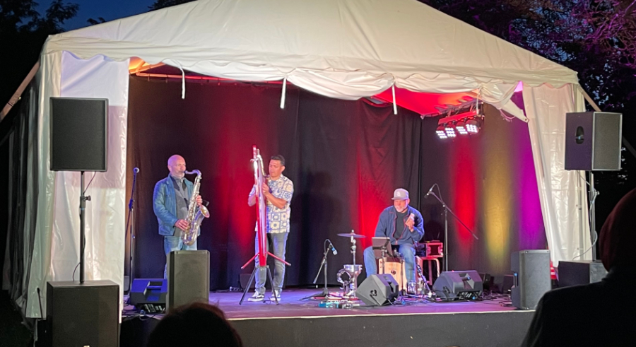saxyarpa, Welziner Kultursommer, Hof Welzin